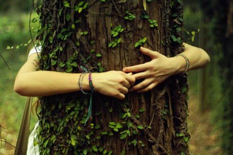 abbracciare alberi potere terapeutico Punto e Virgola